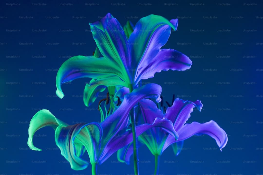 http://n.sinaimg.cn/default/1_img/upload/3933d981/761/w930h631/20180316/Out9-fysiaxh9446819.jpg?zdy